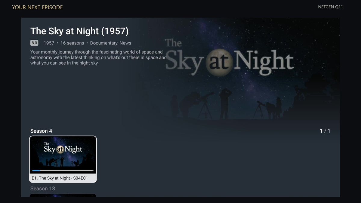 Actual NetGen TV series and episode browser captured on the Q11.